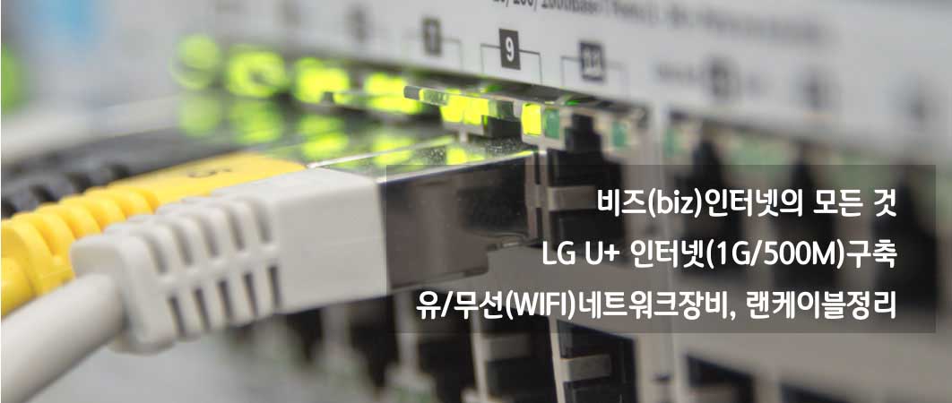 Image Two